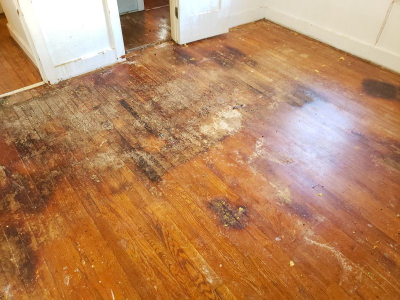 Subfloor Damage Inspection